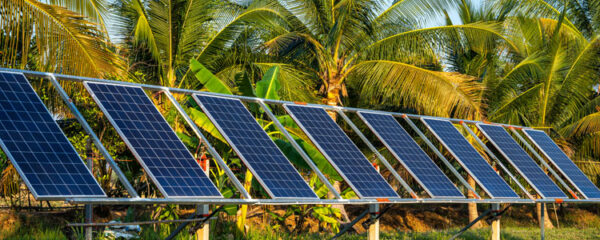 photovoltaïque agricole