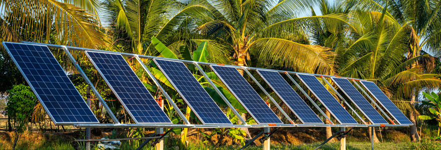 photovoltaïque agricole